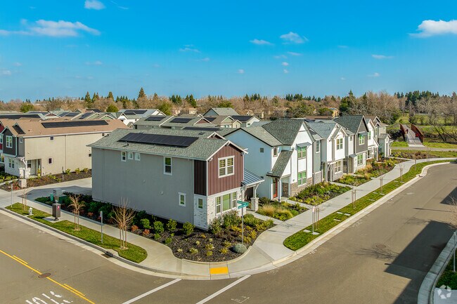 Alternar - Cove Artisan