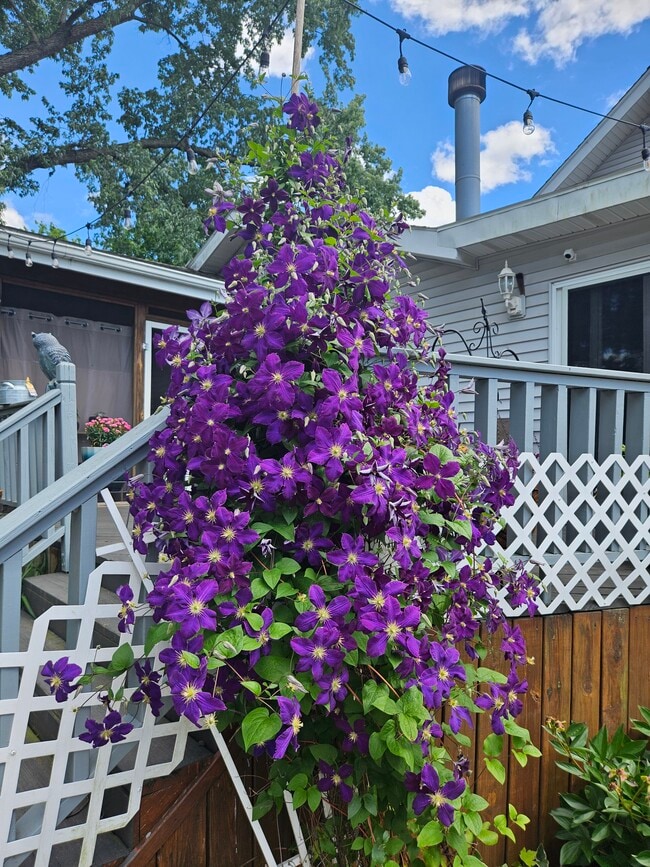 Photo - 4047 Mogadore Rd