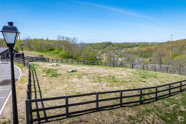 Dog Park