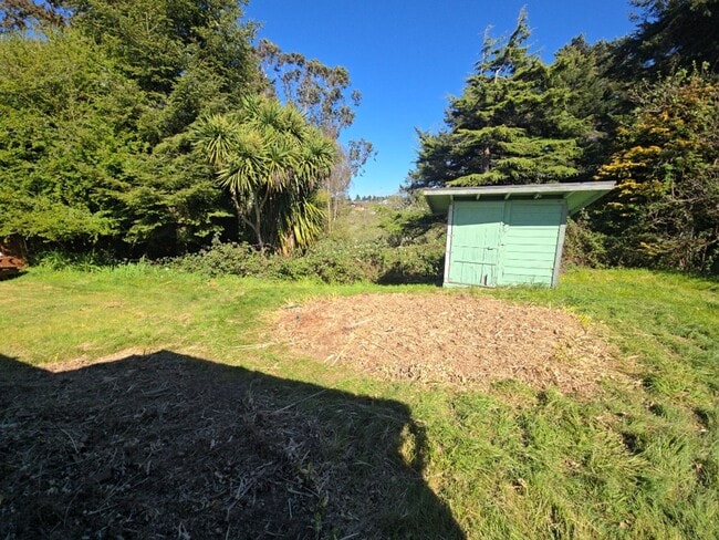 Photo - 2BD/1BA Pine Hill home on quiet road!