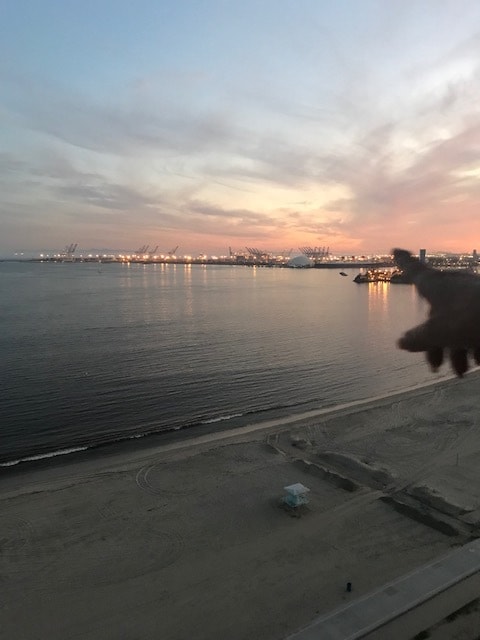 Photo - 1750 E Ocean Blvd Unit C