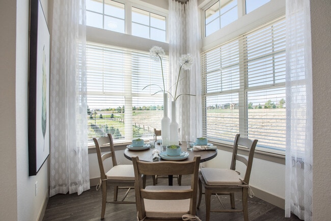 Living area - Avalon Southlands