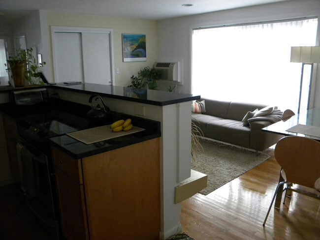 Furnished Kitchen/Living Room - 70 Park St Unit 22