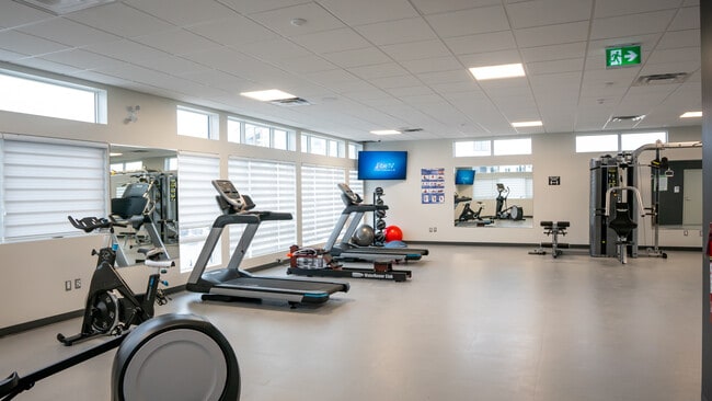 Photo - Luna at Aurora