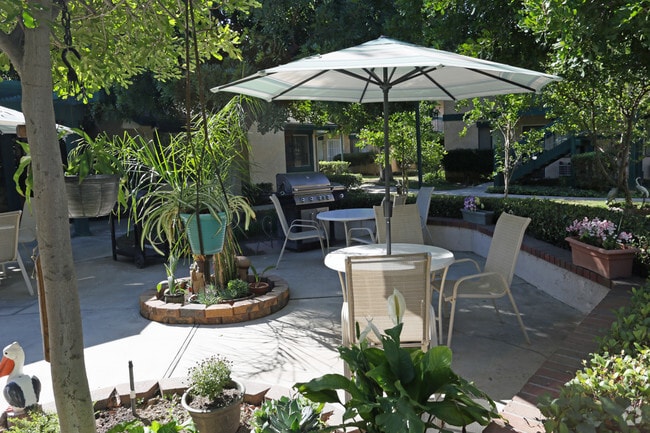 Patio Area