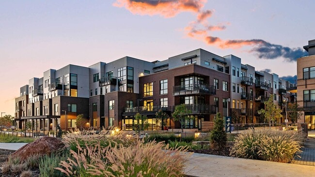 Reve Boulder