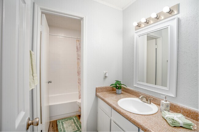 2BR, 1BA - 850SF - Bathroom