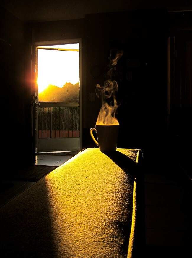 Photo - The Center Court Apartments