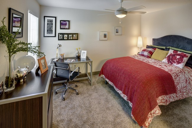 Photo - Traditions at South