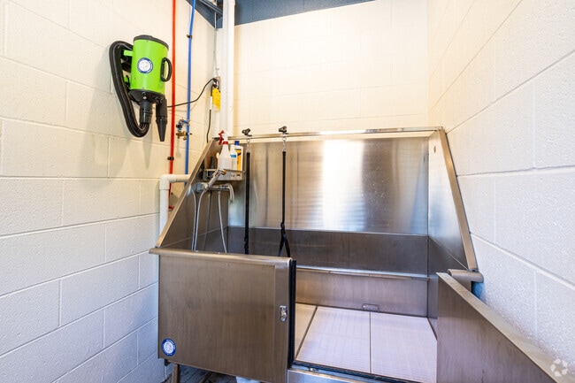 Paw Spa - The Axis at 1435