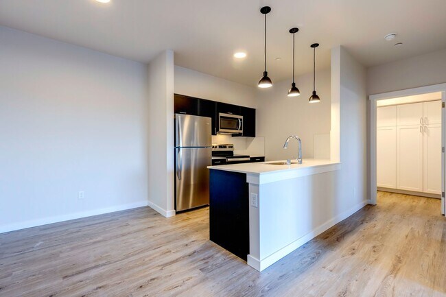 1 Bedroom Kitchen and Dinning