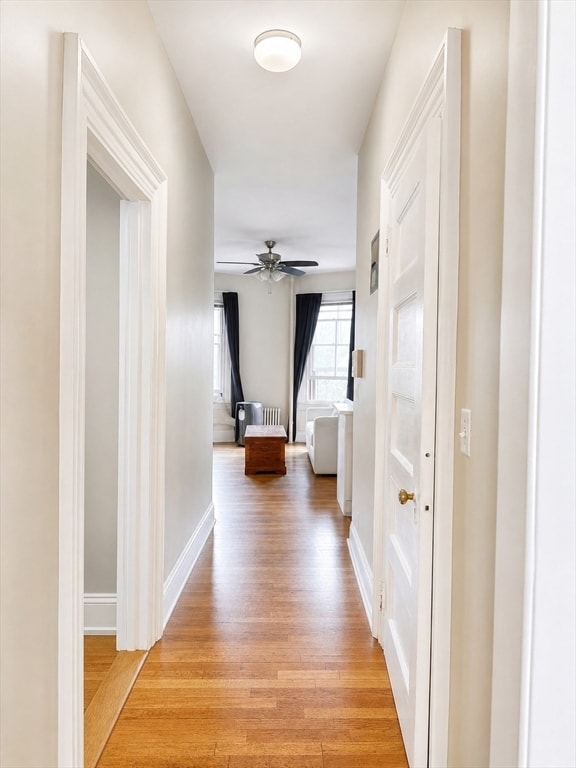 Building Photo - 244 Beacon St Unit 3C