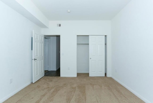 Photo - Big Horn at Black Mountain