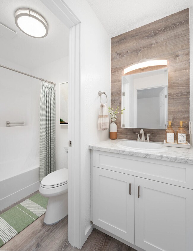 Vanity and Bathroom