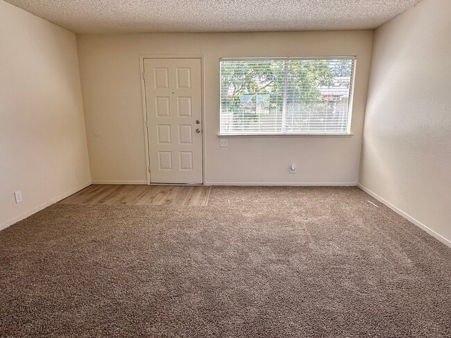 Cedar Apartments