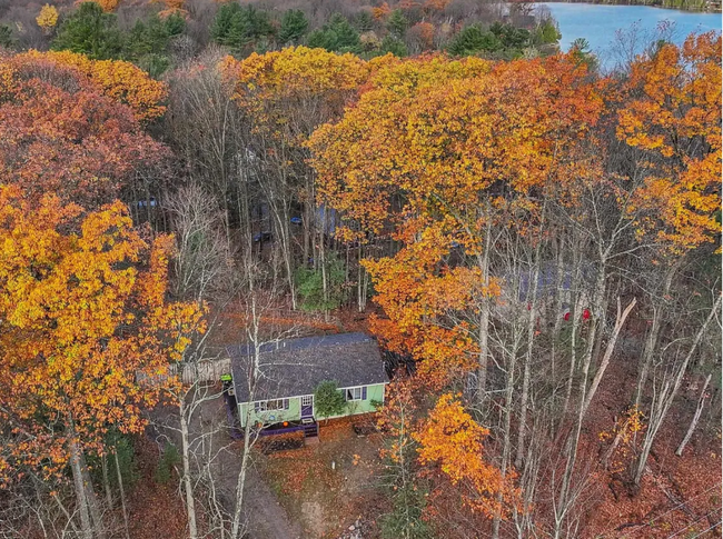 Photo - Woodsy Retreat in Lake Ann