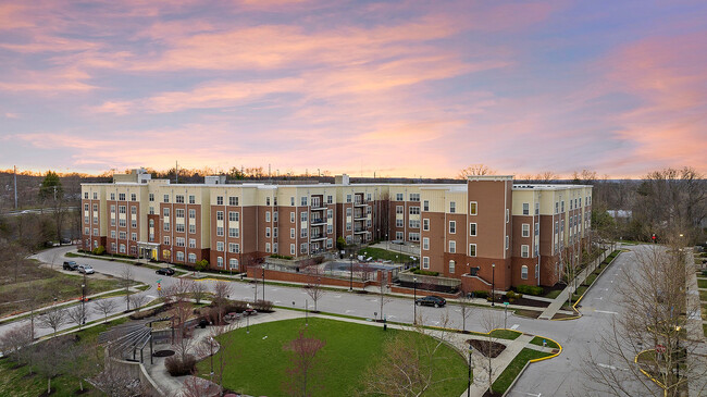 Building Photo - Park on Morton Rental