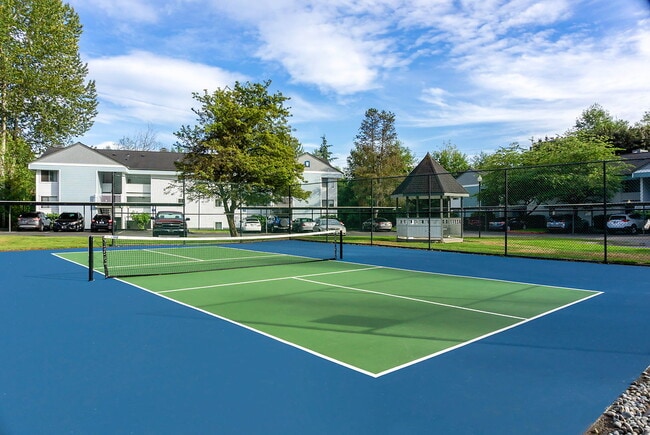 Photo - Wandering Creek