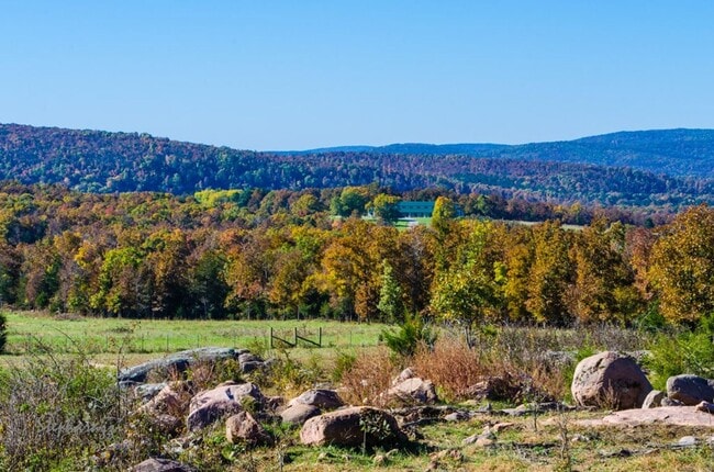 Photo - 512 Log Cabin Unit 512 Cabin
