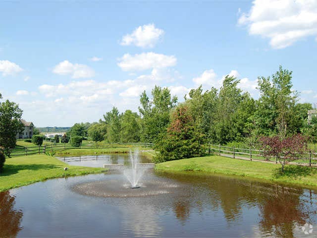 Pond