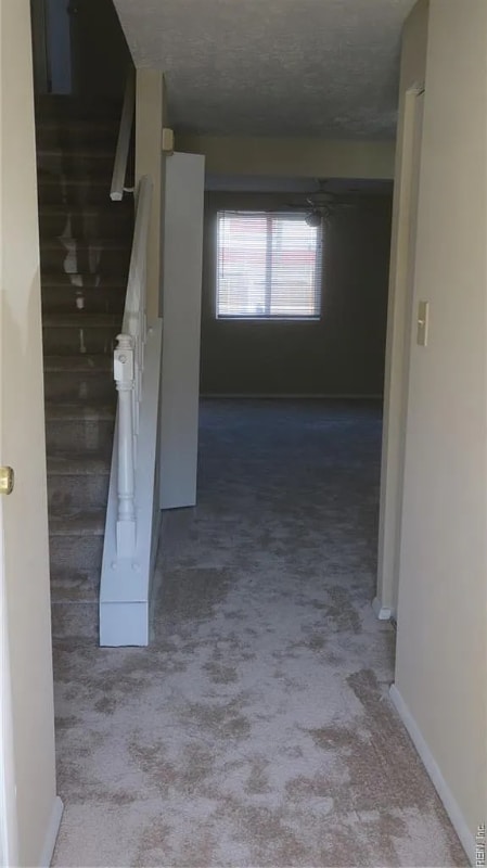 Photo - 25 Christine Ct