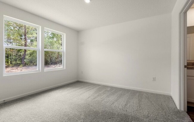 Photo - 135 Tiger Lily Ln