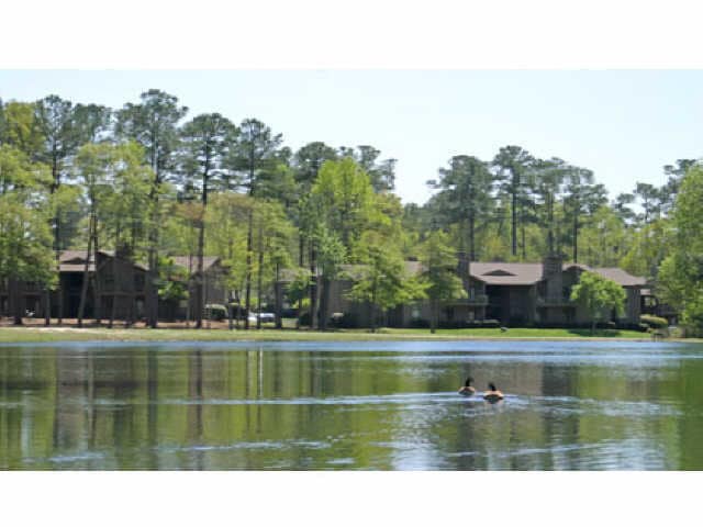 Pond views