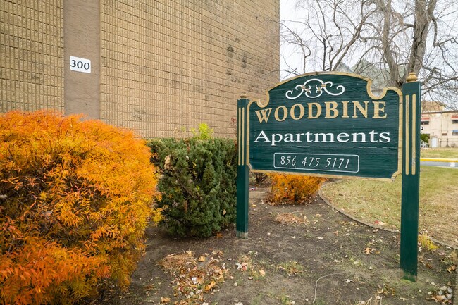 Street Signage - Woodbine