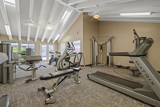 Photo - Shadow Point