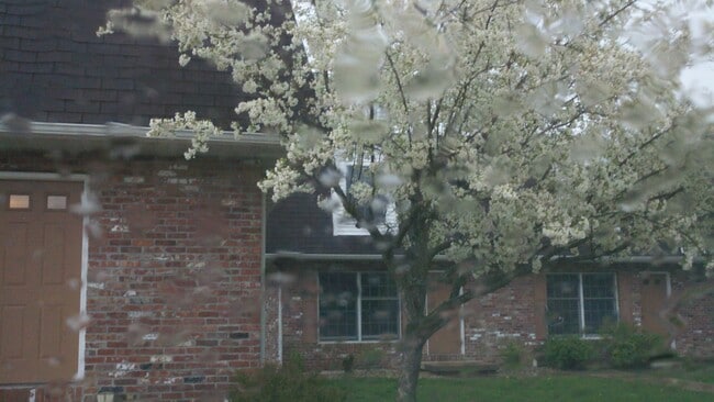 Wooded area close to downtown Mahomet - 823 E Franklin St Unidad C