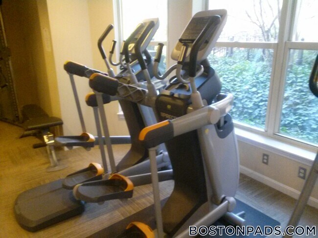 Photo - 75 Peterborough St Apartment Unit 314