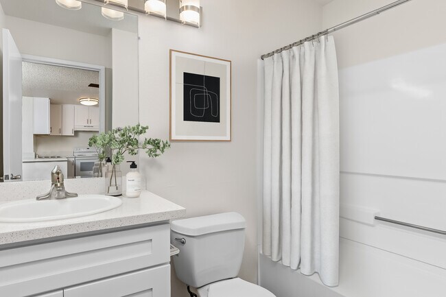 Remodel Apartment