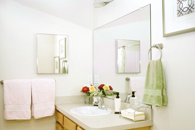 At Our Green Ash Trail Location, Apartments Have Standard Fixtures in Both Bathrooms