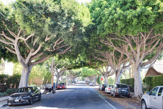 Quiet neighborhood