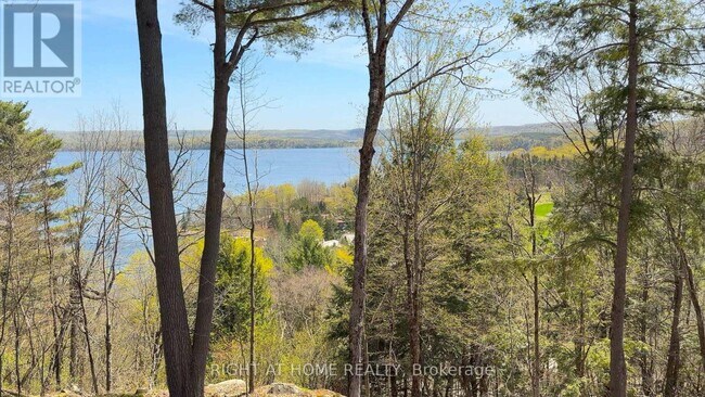 Photo - 13 Tree Tops Ln Unit 202