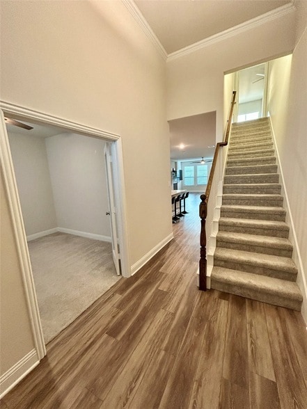 Photo - 541 Firethorn Dr