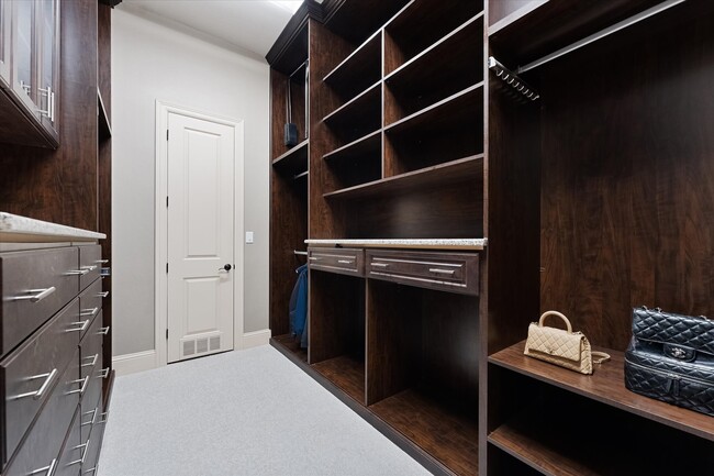 Building Photo - 19 Paloma Bend Pl