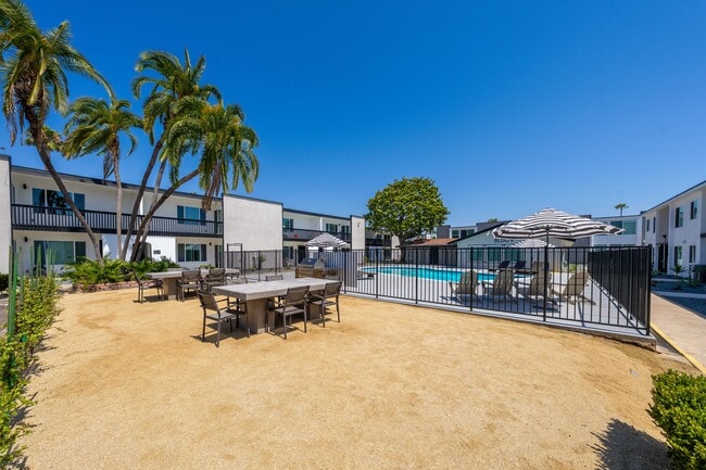 Palmera