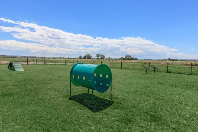 Gated Dog Park