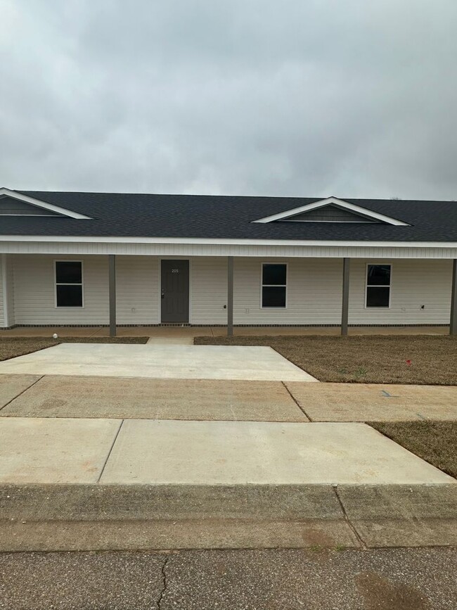 Southern Winds Subdivision! New Construct... - Southern Winds Subdivision!  New Construct... Townhome