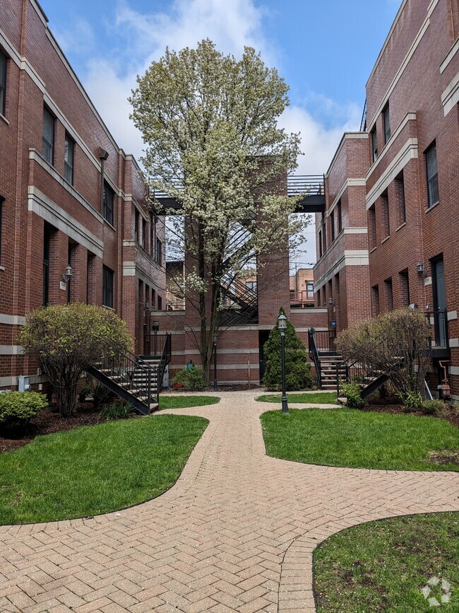 Courtyard - 2036 W Le Moyne St Rental