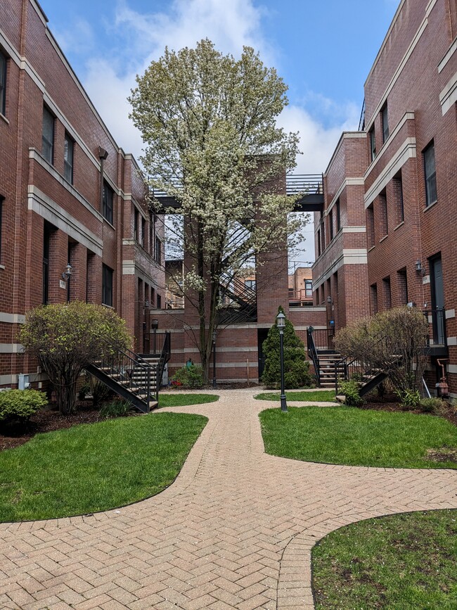 Patio - 2036 W Le Moyne St Casa Adosada