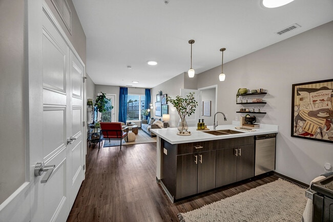 97-Stadium Row - Model - Kitchen (8)