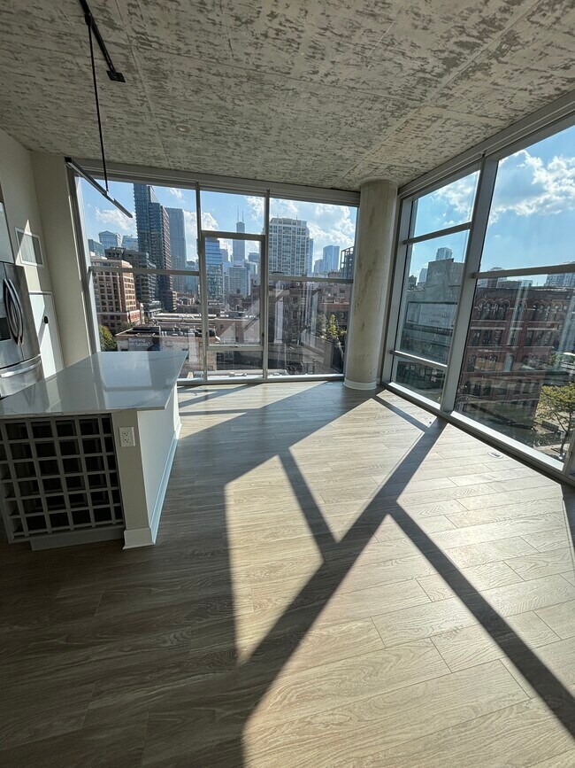 744 N Wells St Unit 1524