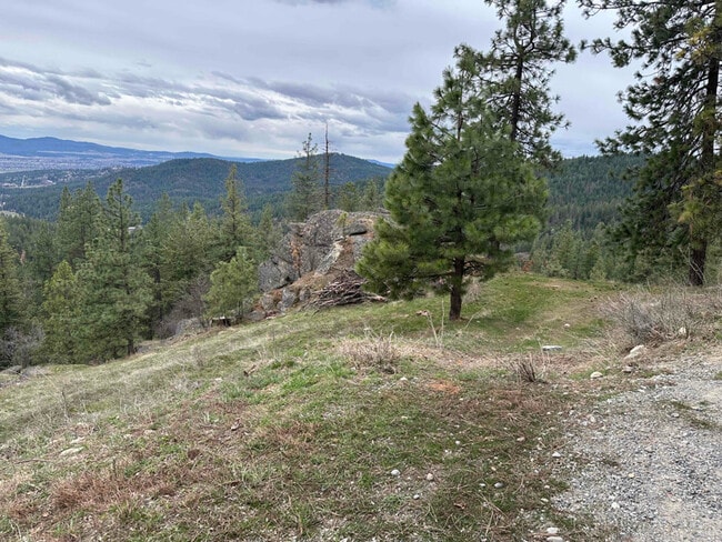 Photo - 19602 E Onyx Ln