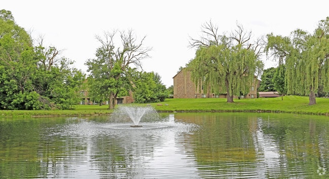 Pond