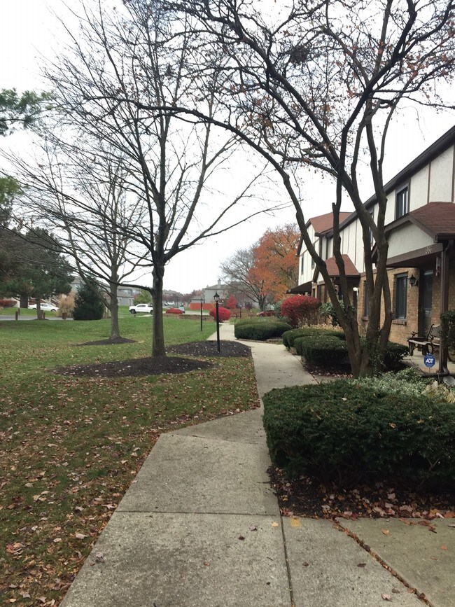 Abierto de espacio verde - 1982 Drury Ln