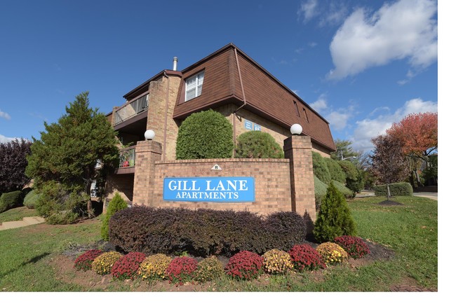 Gill Lane - Gill Lane Apartments