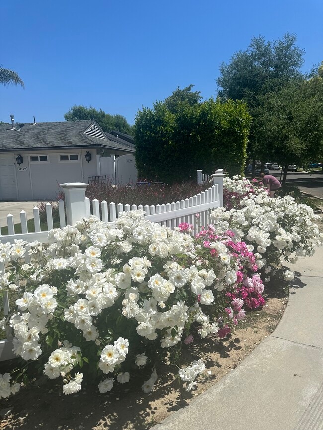 Outside front entrance - 17459 Keswick St