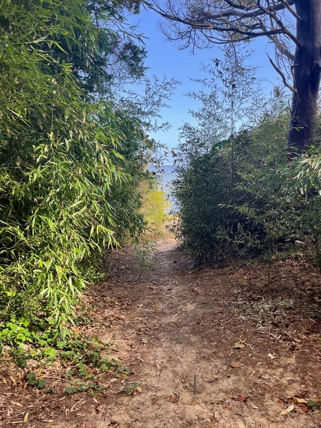 Long term rental with Sound views! House Rental in Manteo, NC